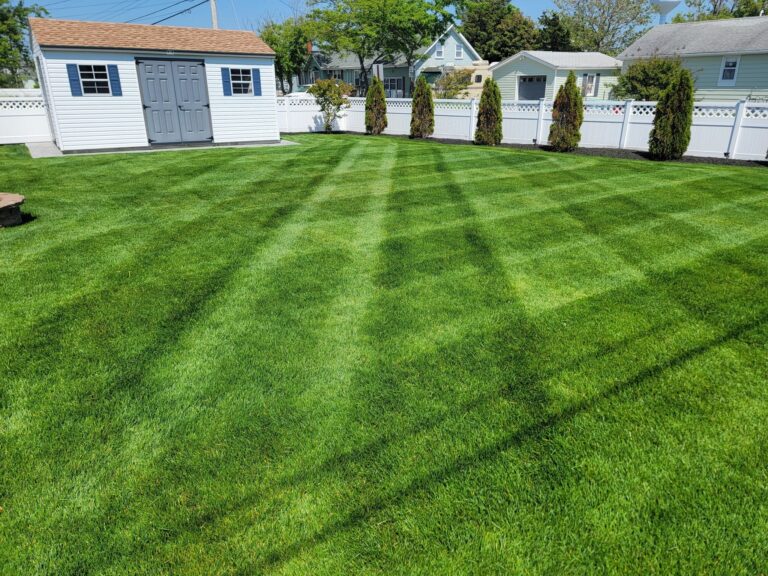 Well-kept striped lawn and fenced property in lower cape may county