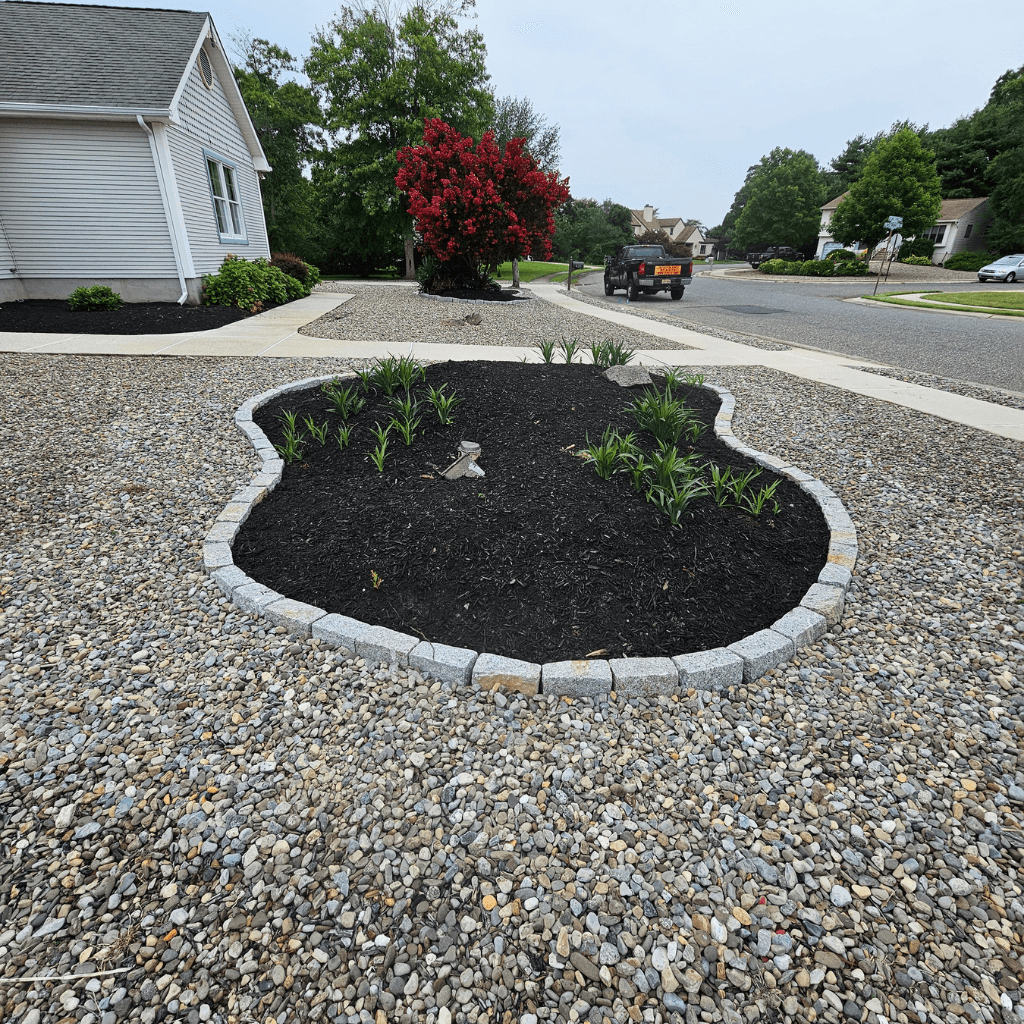 Mulched shrub bed bordered by a gravel surface in lower cape may county