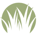 Boyes website stuff 1
