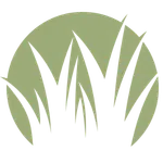 Boyes website stuff 1