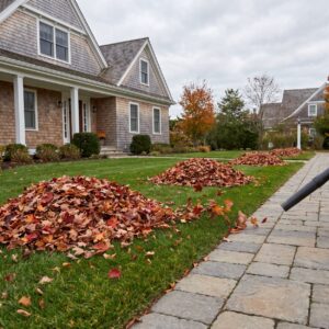 Fall cleanup leaf piles on a lower Cape May County property before haul off