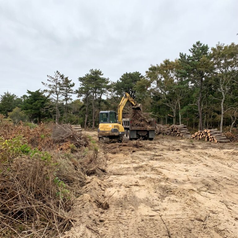 Land clearing in lower cape may county with brush loaded and cut logs stacked