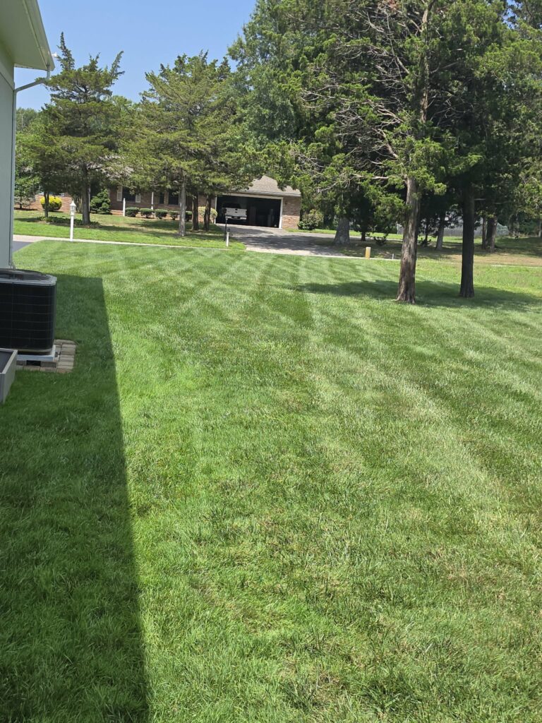 Freshly mowed striped residential lawn in lower cape may county